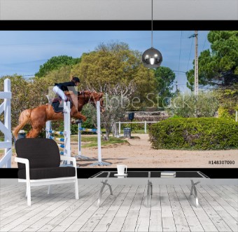 Picture of Equitation saut dobstacles comptition